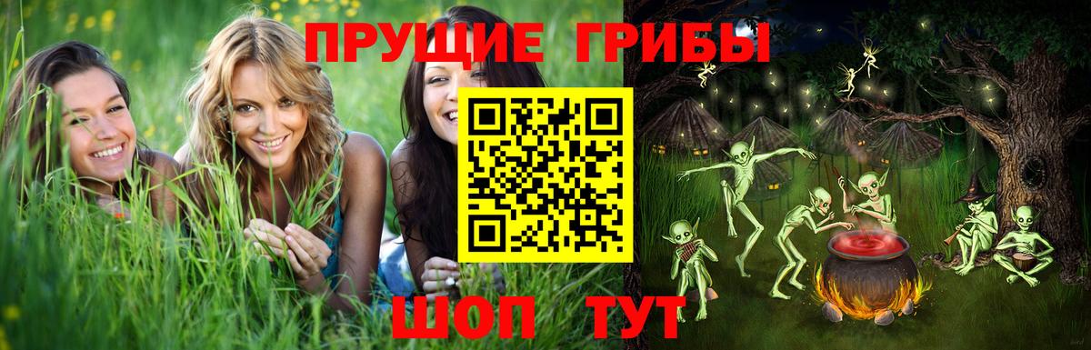 как найти   Псилоцибиновые грибы Psilocybine cubensis  Саянск  Вход с VPN  Галлюциногенные грибы мицелий 